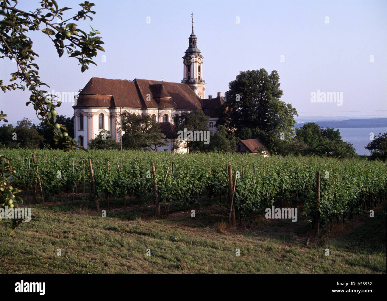 Birnau/Bodensee, Klosterkirche und Weinbau, voir Banque D'Images