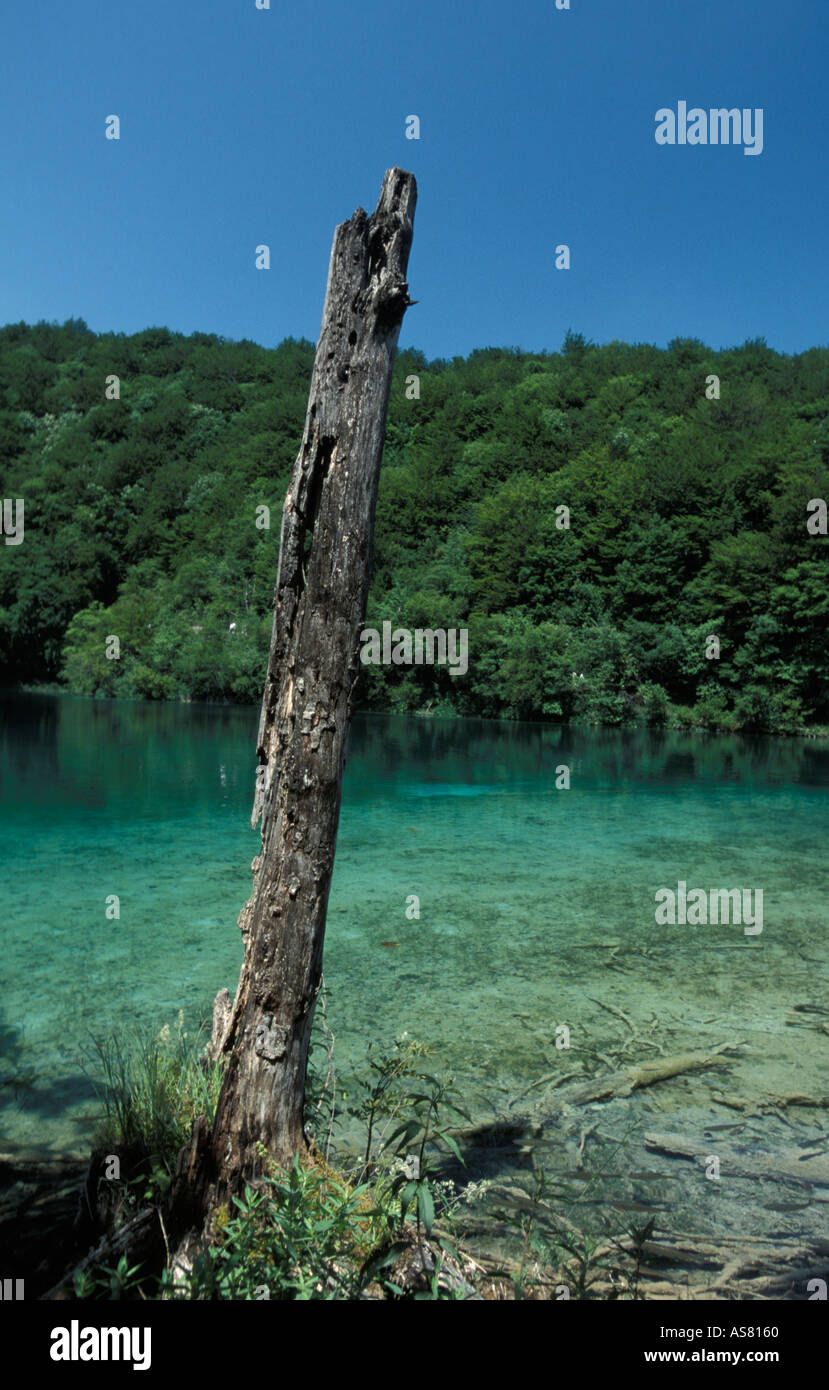 Patrimoine mondial de l'UNESCO, le parc national de Plitvice Lakes Banque D'Images