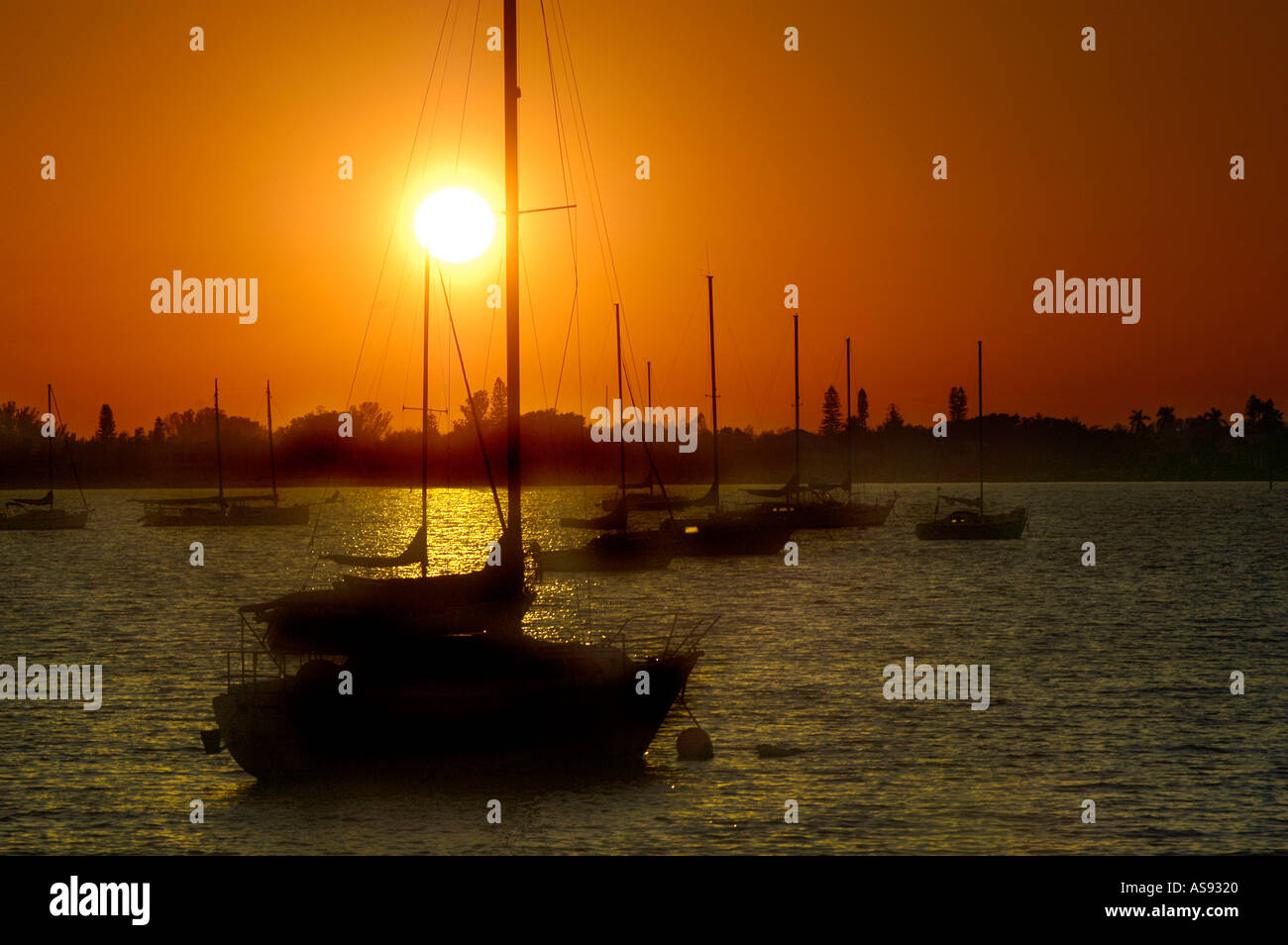 Coucher de soleil sur la baie de Sarasota en Floride Banque D'Images