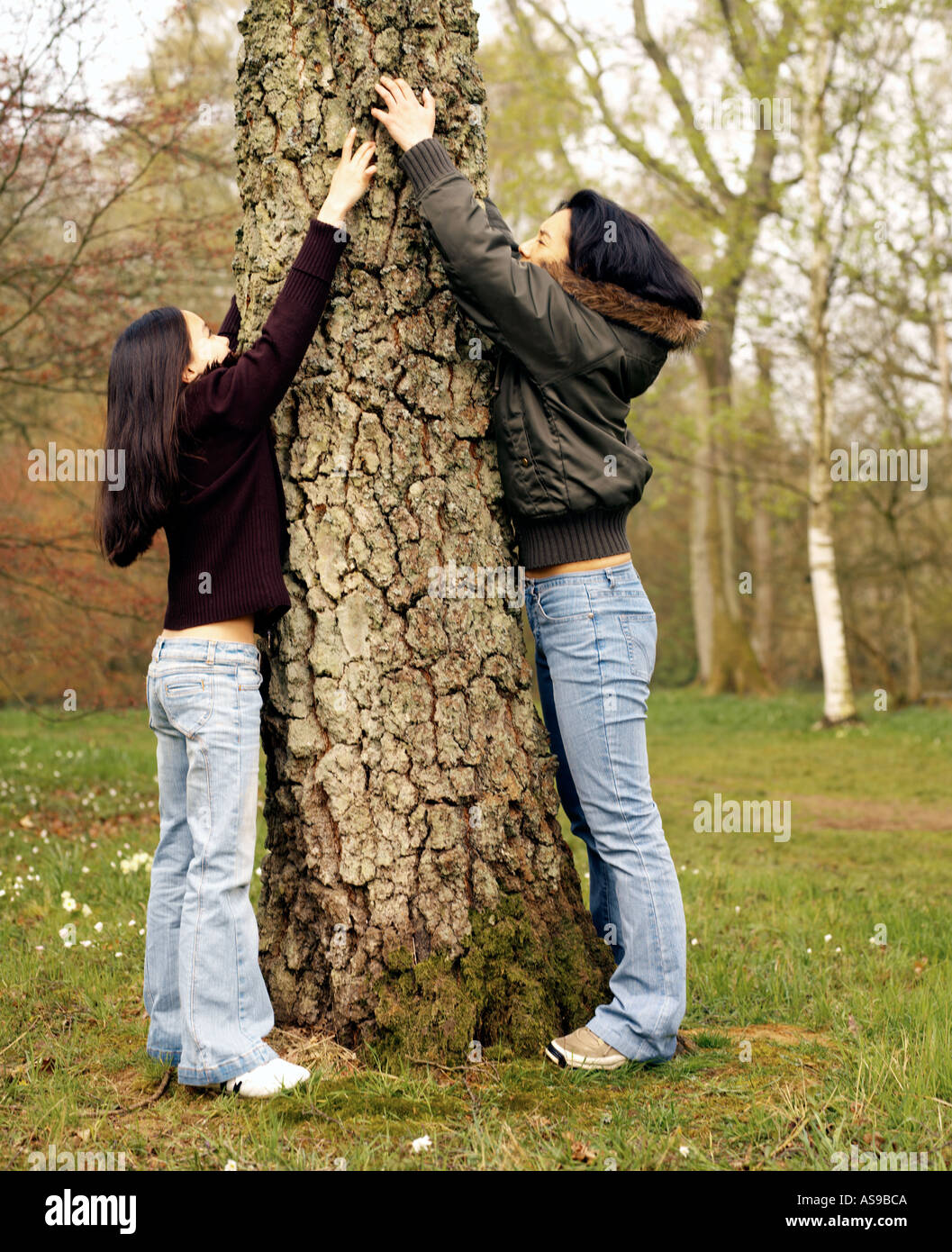Mère et fille atteignant jusqu'tronc de l'arbre Banque D'Images