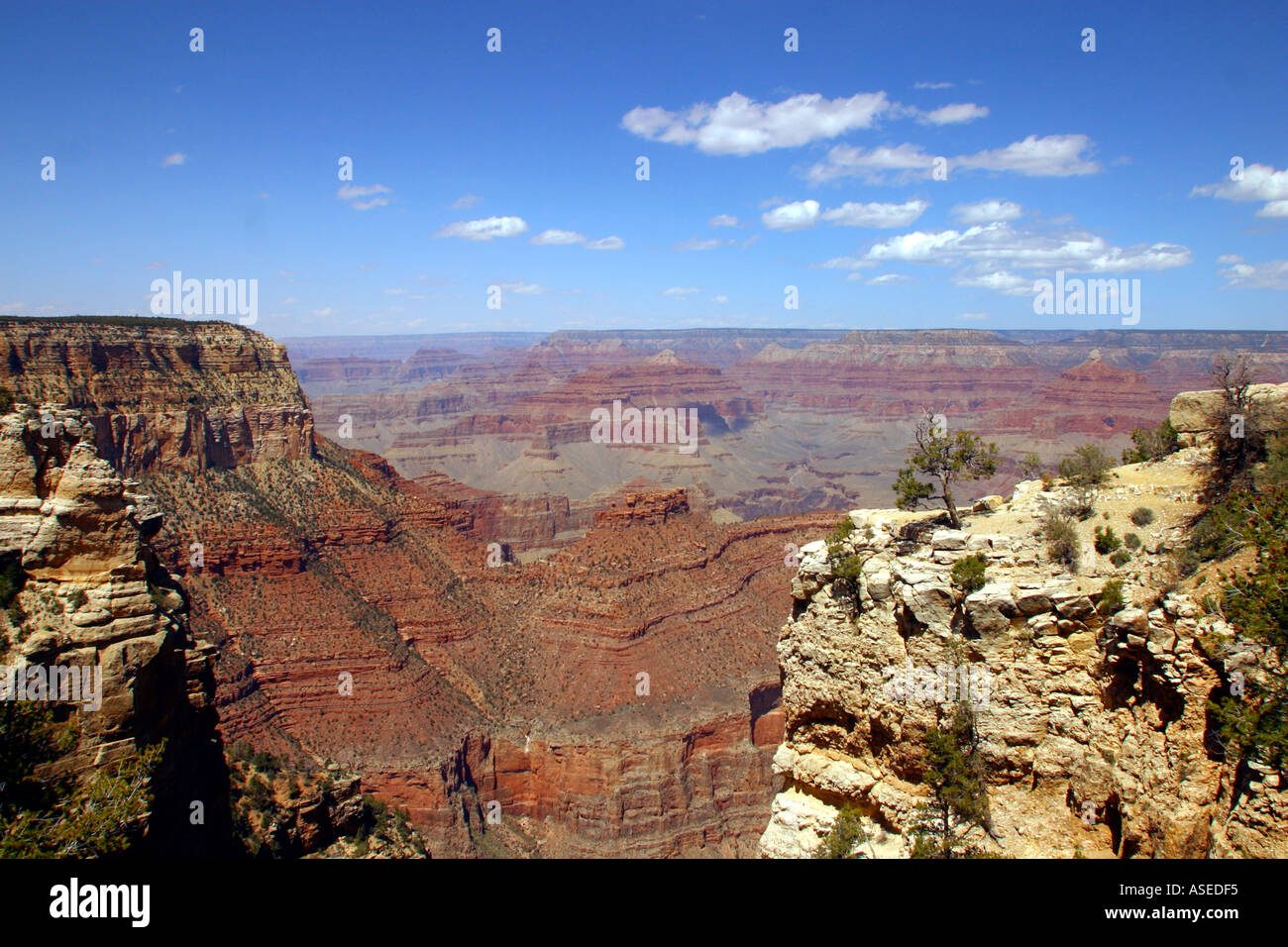 Grand Canyon Arizona Banque D'Images