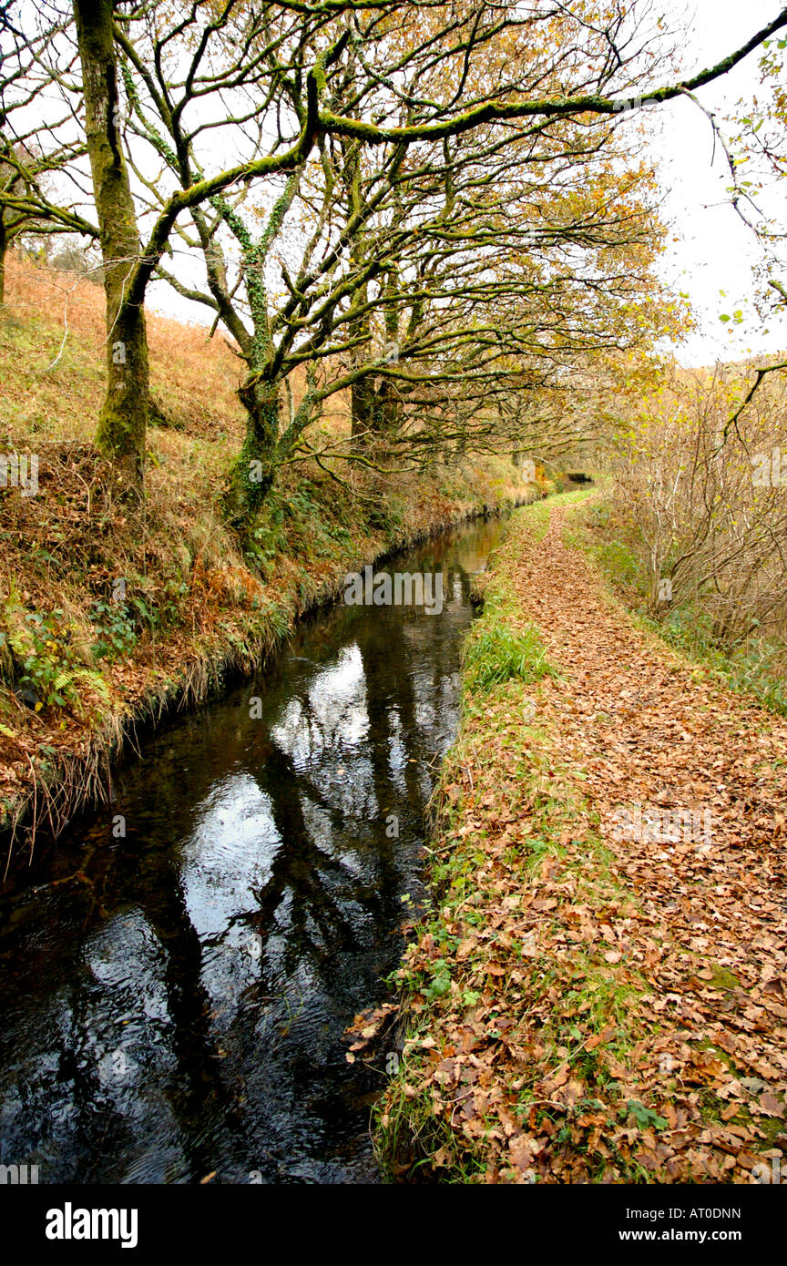 Le dartmoor/devonport leat, Devon Banque D'Images