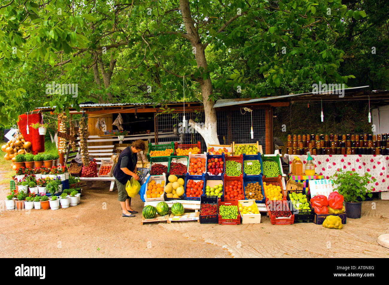 Fruits colorés se trouve près de météores et Kalambaka Grèce Banque D'Images