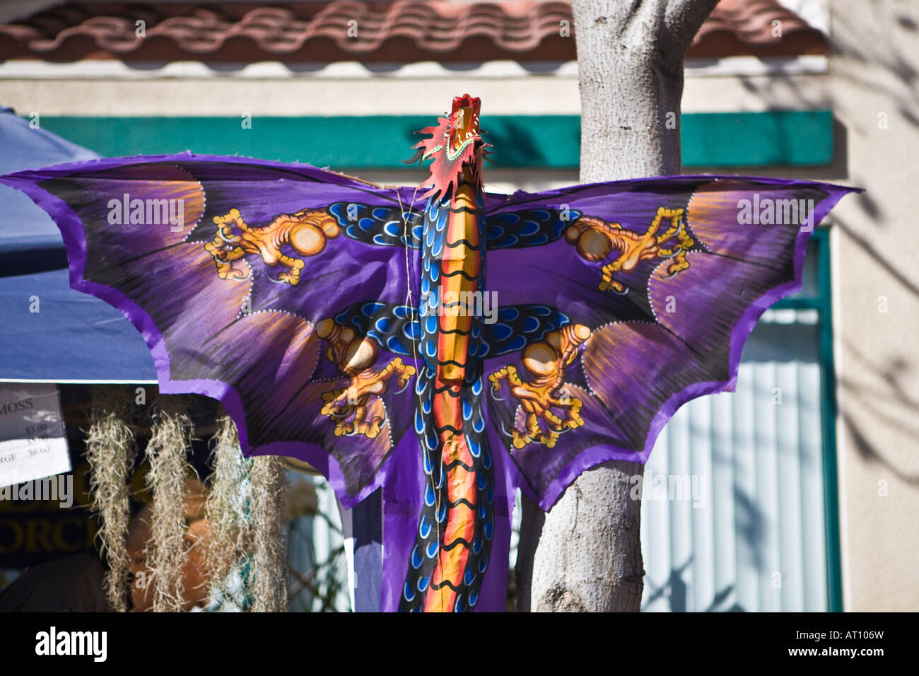 Cerf-volant dragon chinois Banque D'Images