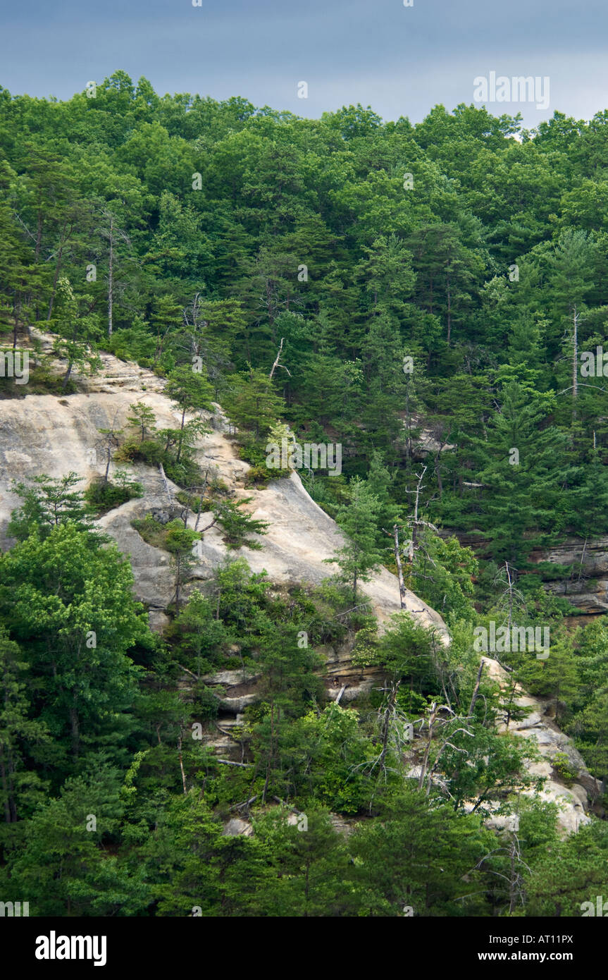 Escalier indien dans la gorge de la rivière Rouge - domaine géologique Menifee Comté Ohio Banque D'Images