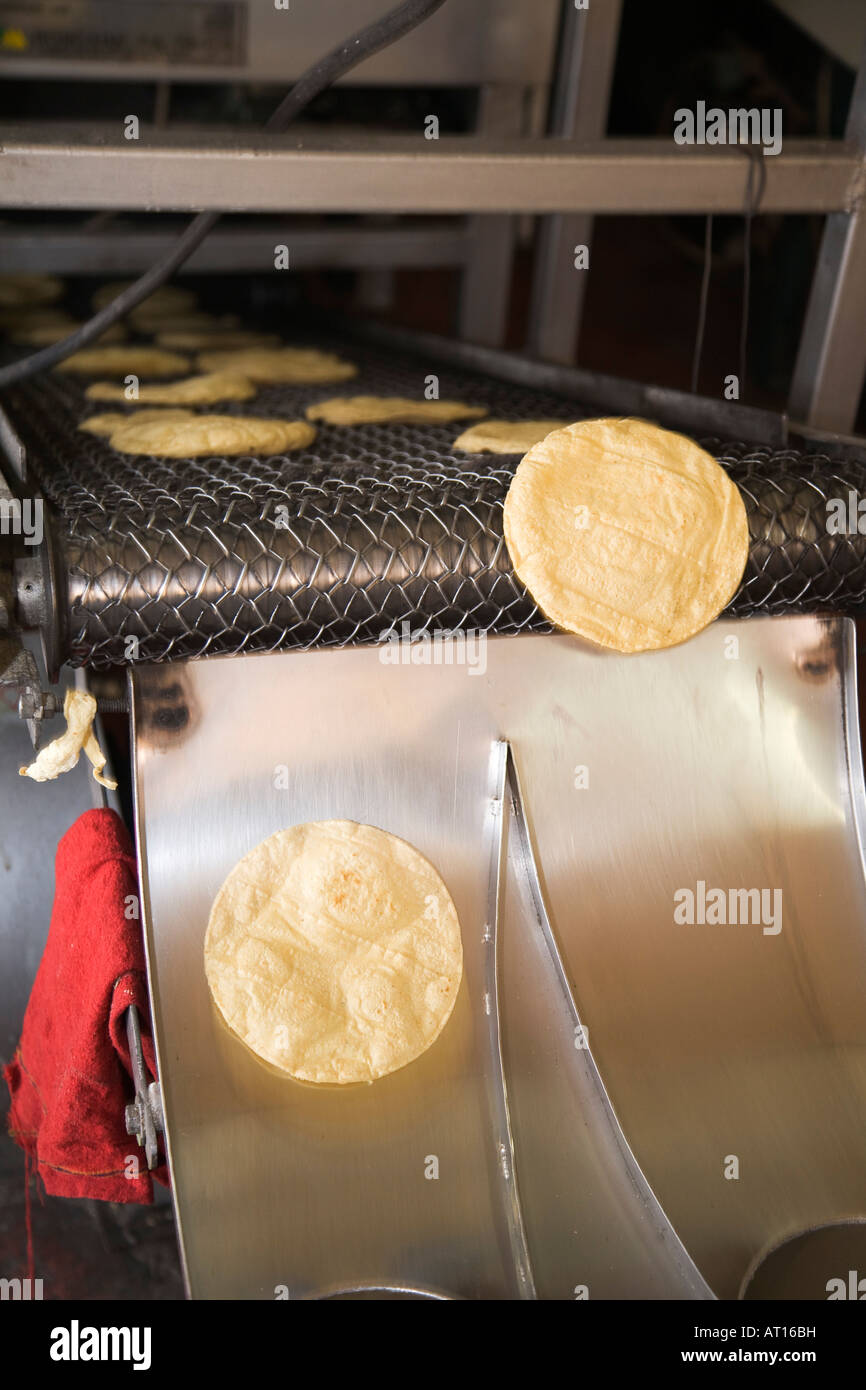 Guanajuato Mexique tortillas de maïs frais sur la courroie du convoyeur et glisser le long des récipient en métal dans les petites décisions tortilla shop Banque D'Images