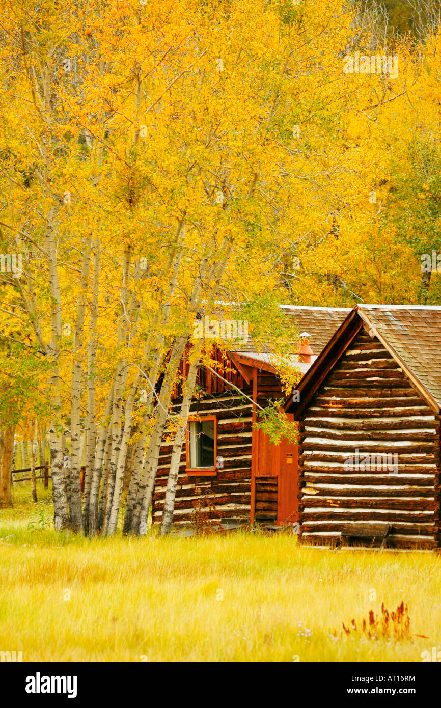 Cabine historique, Twin Lakes, San Isabel National Forest, Colorado Banque D'Images