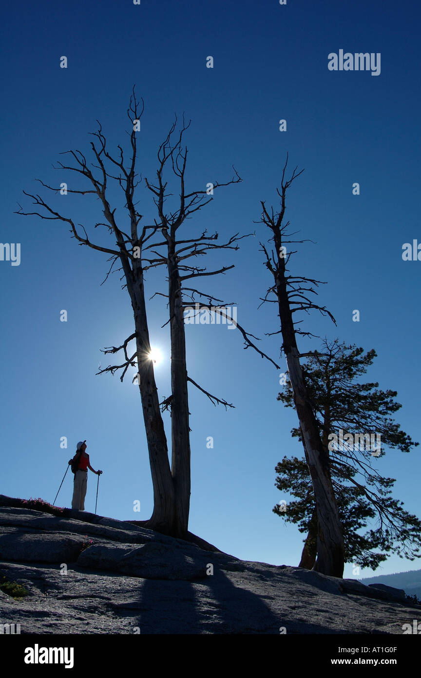 Les randonneur sur Sentinel Dome, Yosemite National Park, California, USA Banque D'Images