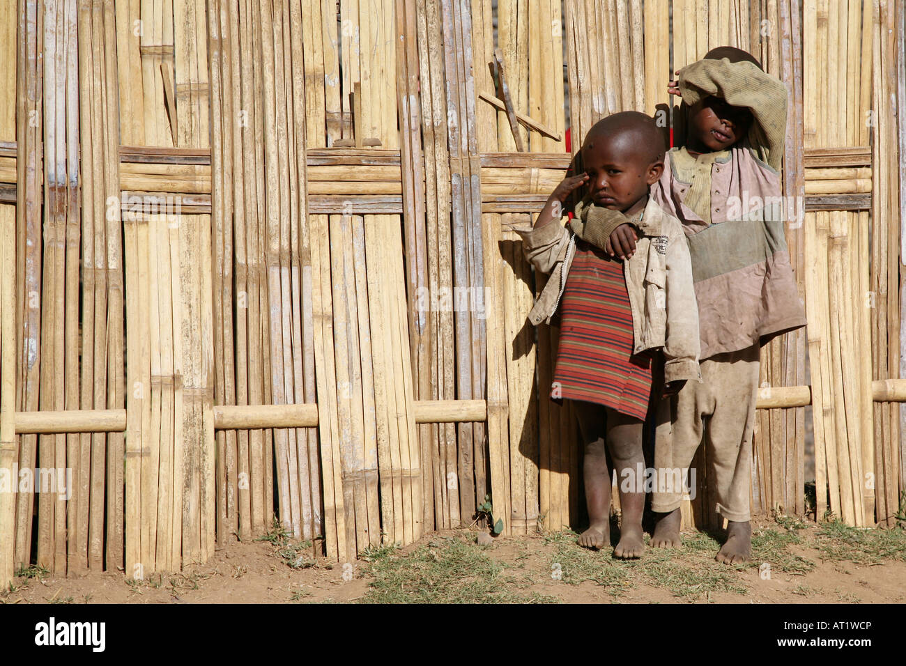 Les enfants africains en face de clôture tissée dans un village tribal Dorze, Ethiopie Banque D'Images