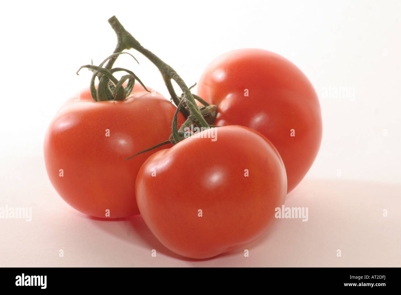 Tomates de vigne Banque D'Images