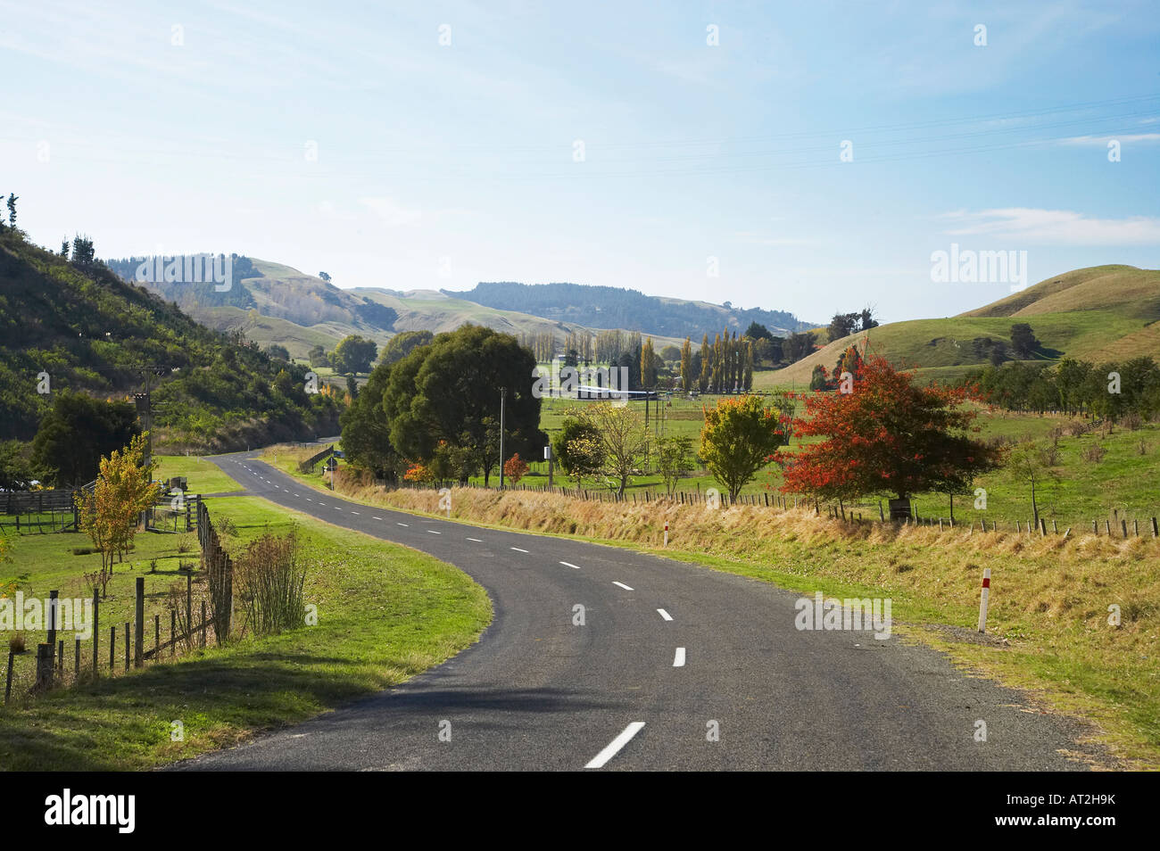 Road et la campagne près de Bay View près de Napier, Hawkes Bay Ile du Nord Nouvelle Zélande Banque D'Images