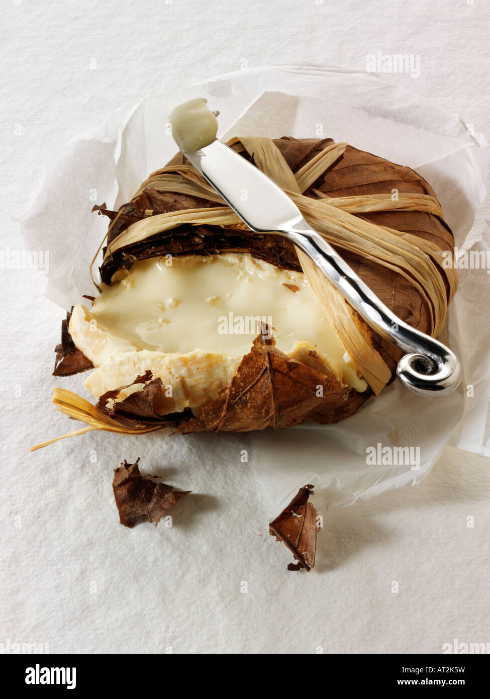 Bannon français fromage de chèvre mou de la Provence dans les feuilles sur un fond blanc. Banque D'Images