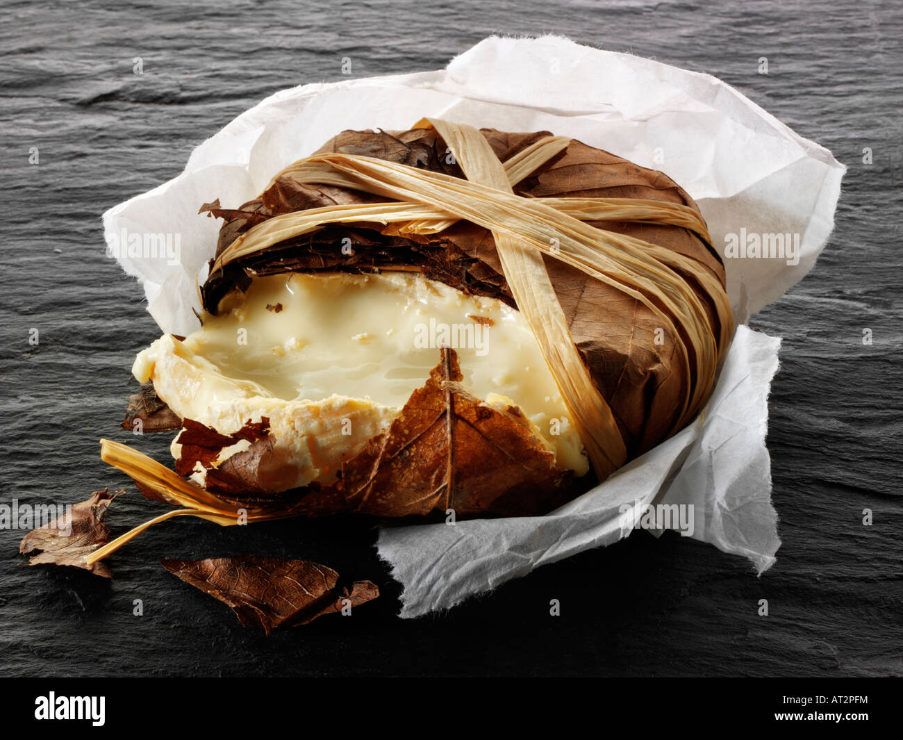 Bannon français fromage de chèvre mou dans les feuilles sur un fond noir. Provence Banque D'Images