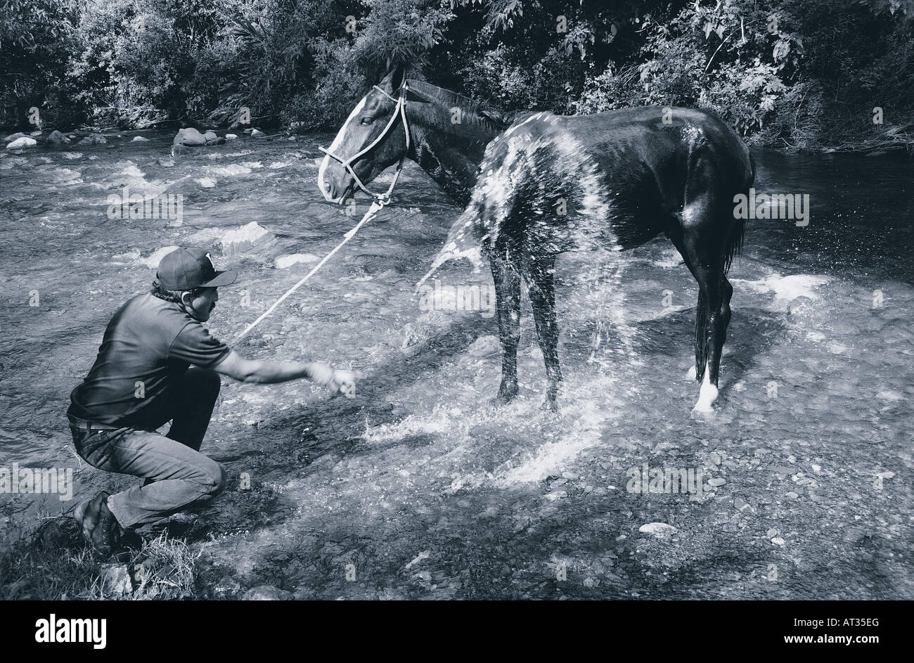 Un homme lave son cheval dans la rivière, l'Équateur Banque D'Images