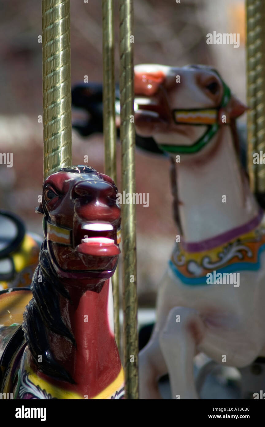 Chevaux de carrousel Banque D'Images