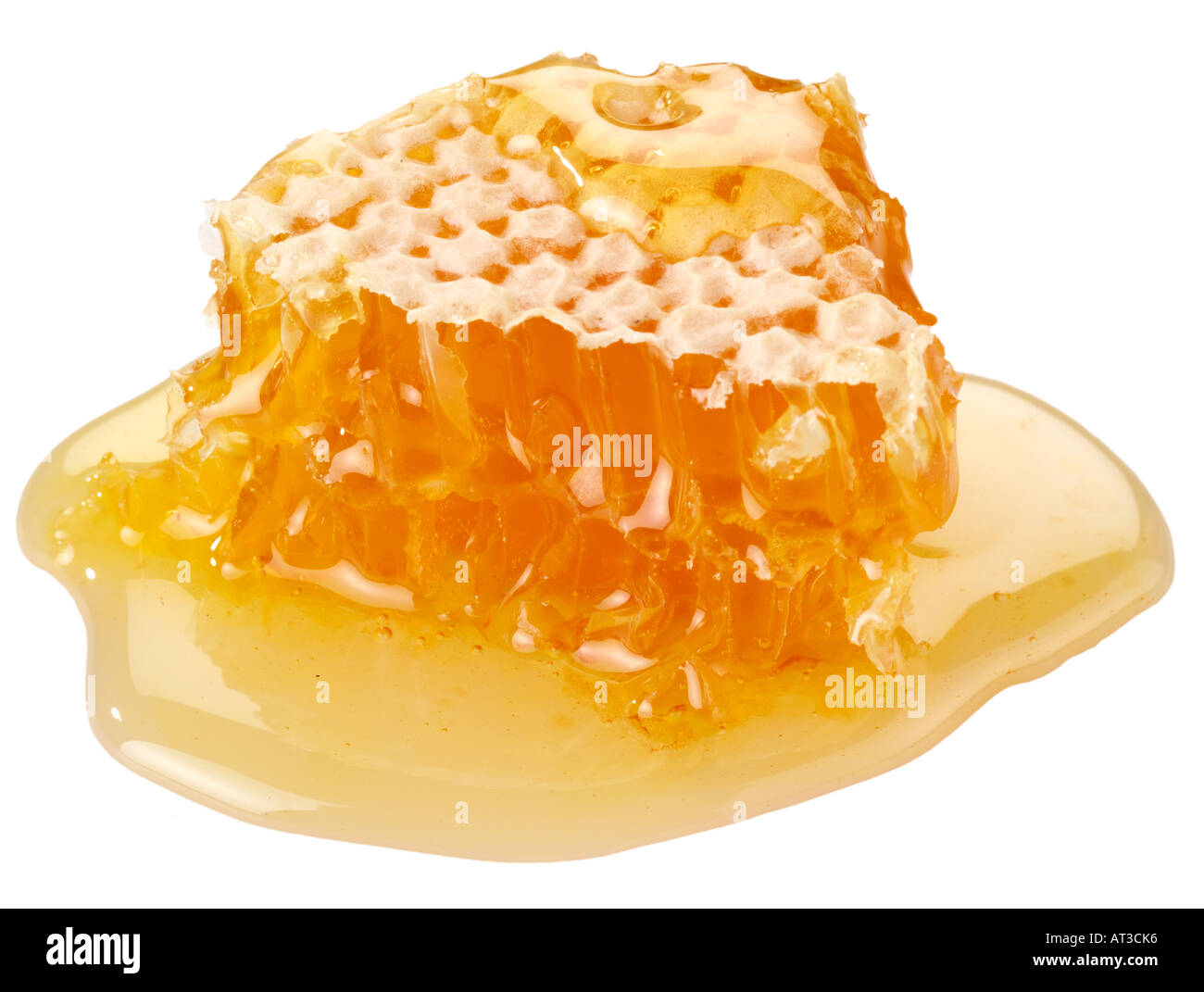 HONEYCOMB CUT OUT Banque D'Images