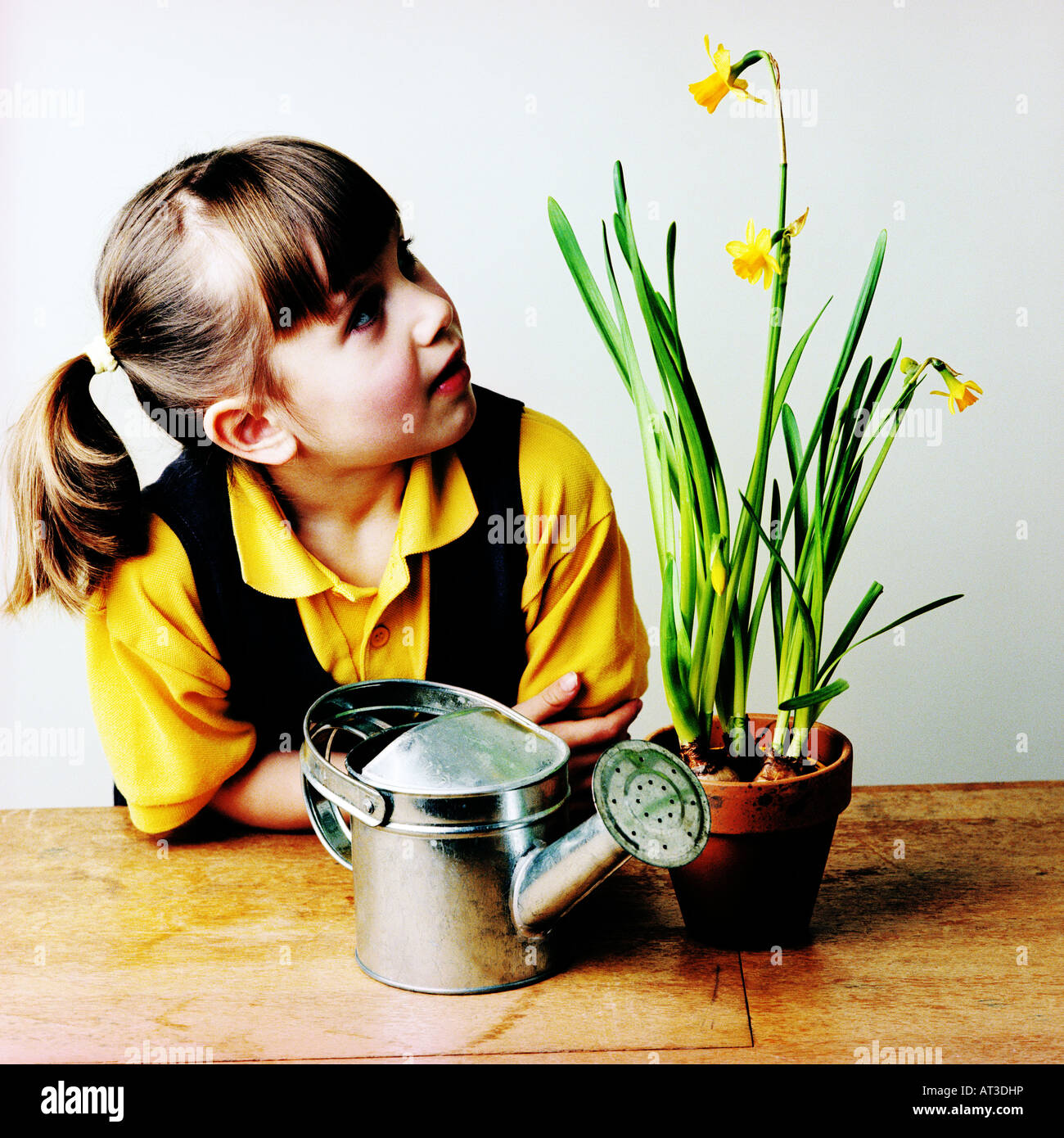 Une fille à la recherche à une fleur Banque D'Images