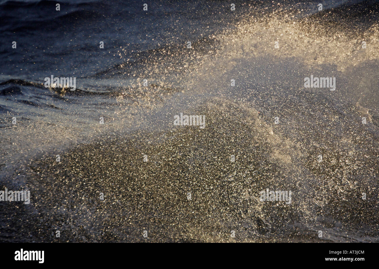 Les vagues dans la mer de l'Atlantique Sud Banque D'Images