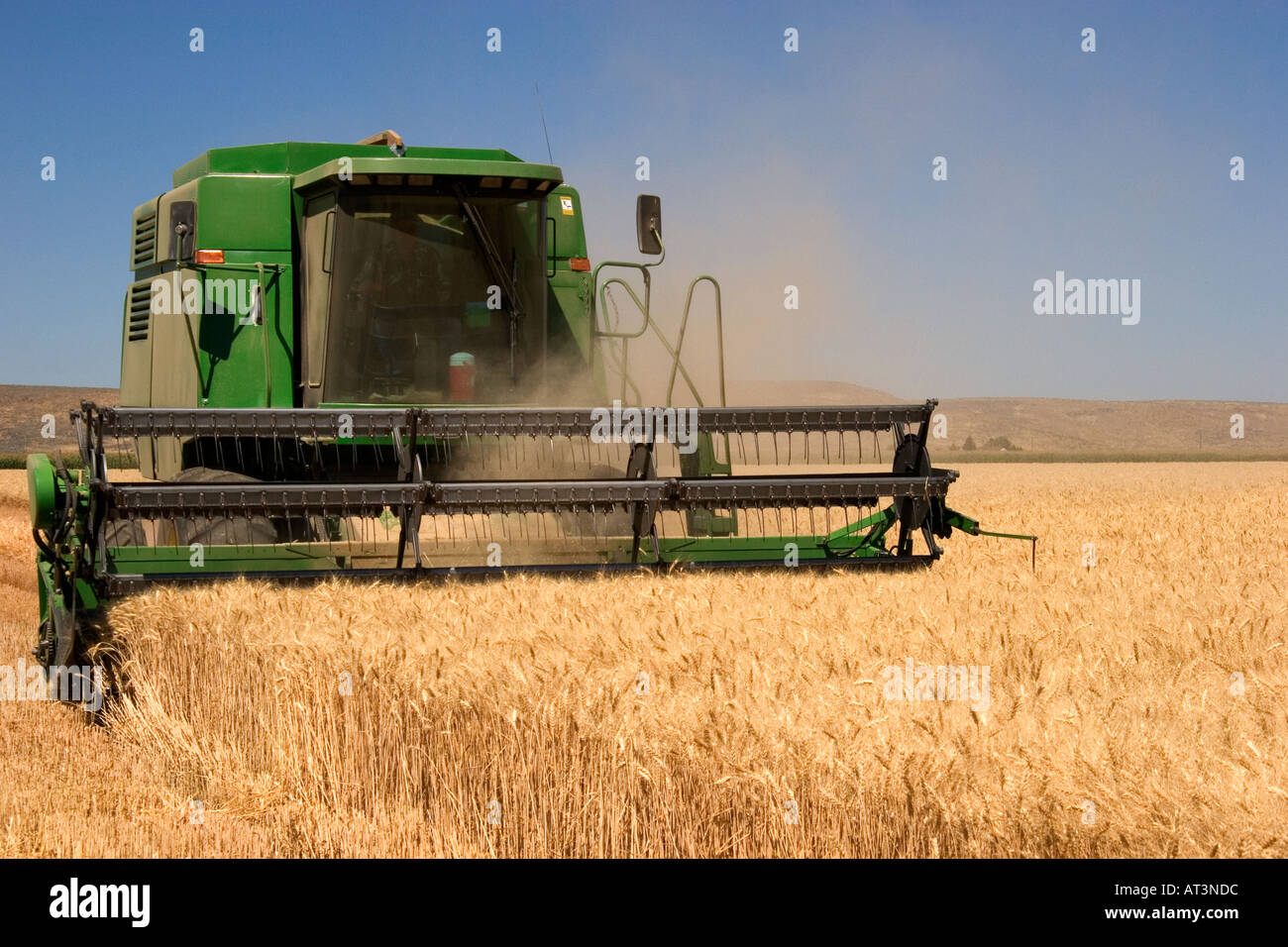 Une moissonneuse-batteuse récolte du blé céréales dans l'Est de l'Oregon. Banque D'Images