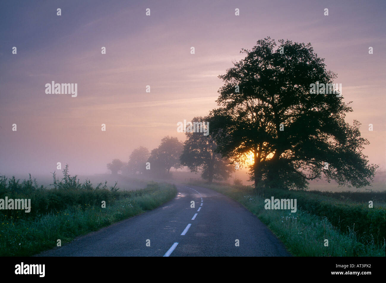Misty chemin rural à l'aube nr Charolles Le Brionnais Bourgogne France Banque D'Images