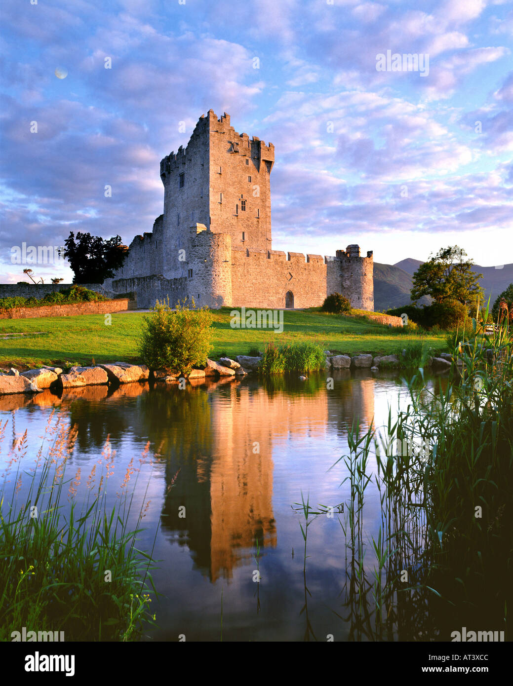 IE - comté de Kerry : Ross Castle, près de Killarney Banque D'Images