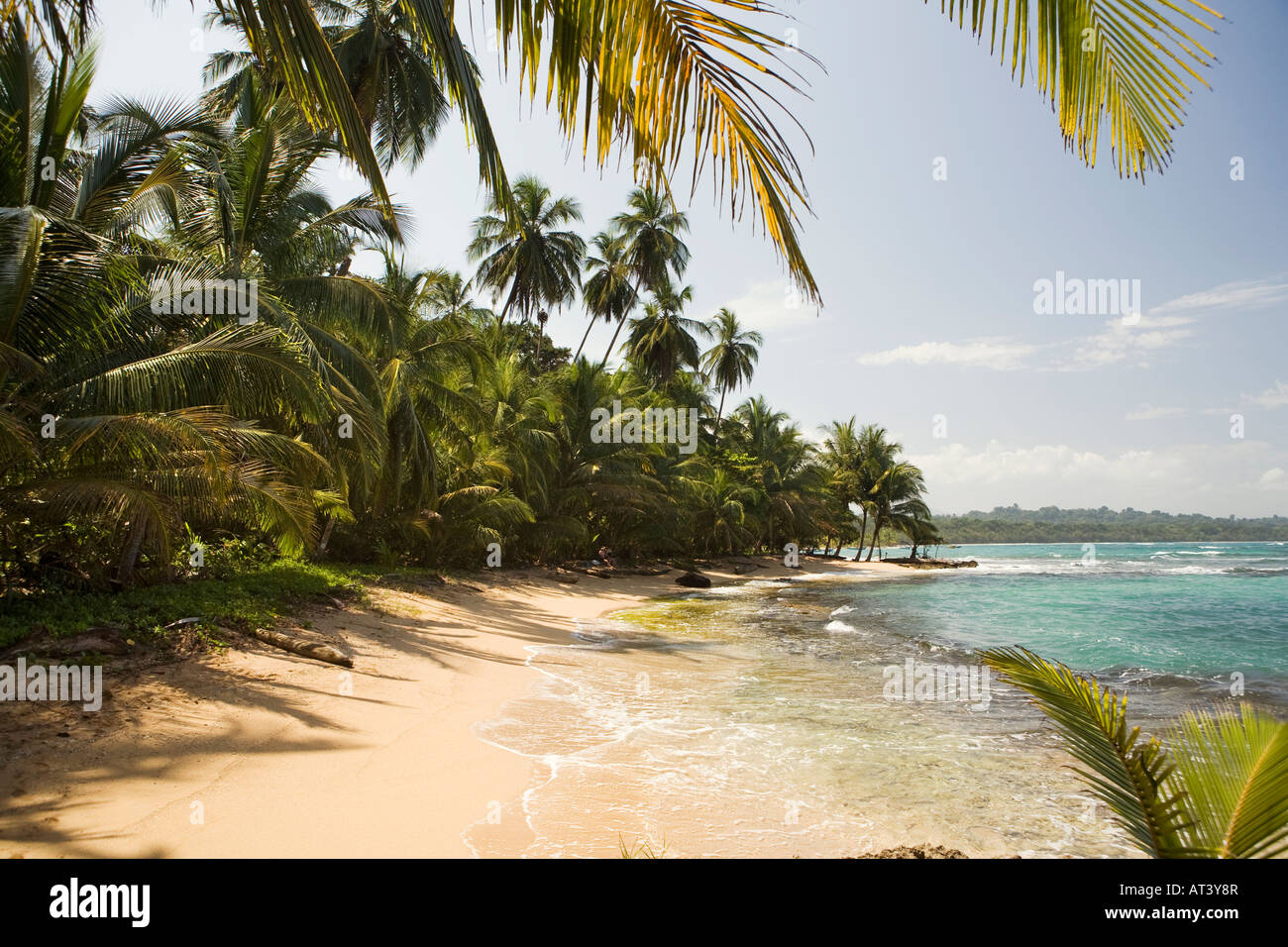 Costa Rica Côte Des Caraïbes plage bordée de palmiers sable Manzanillo ...