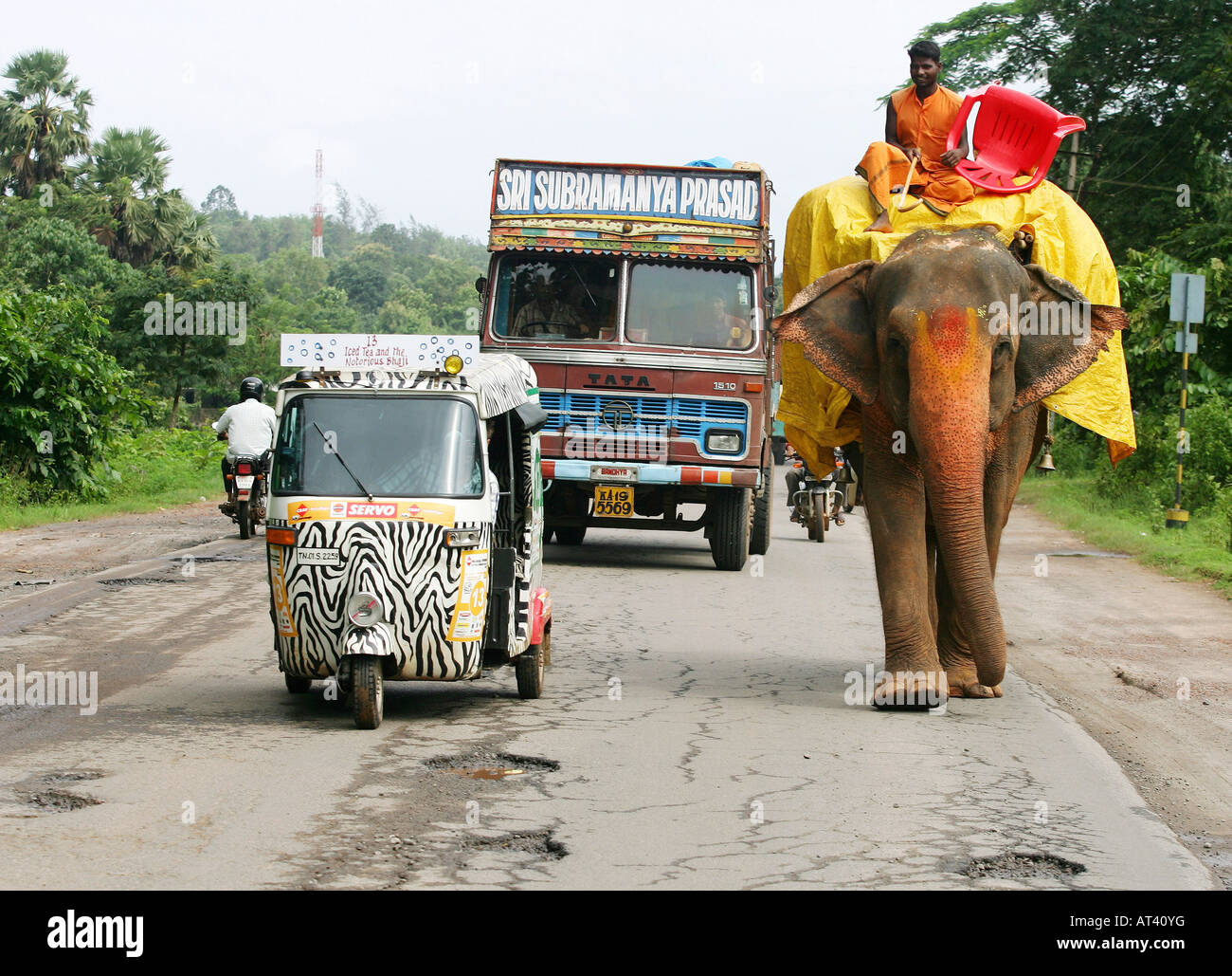 Un pousse-pousse sur une course à travers l'Inde adopte un éléphant à un pèlerinage religieux Banque D'Images