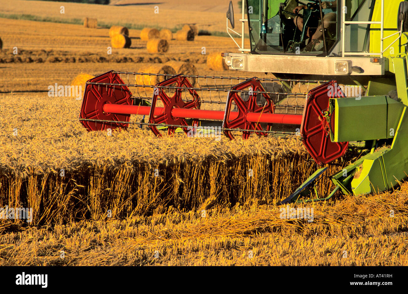 Agriculture - Moissonneuse Batteuse utilisée pour la récolte de blé dans un champ en France Banque D'Images