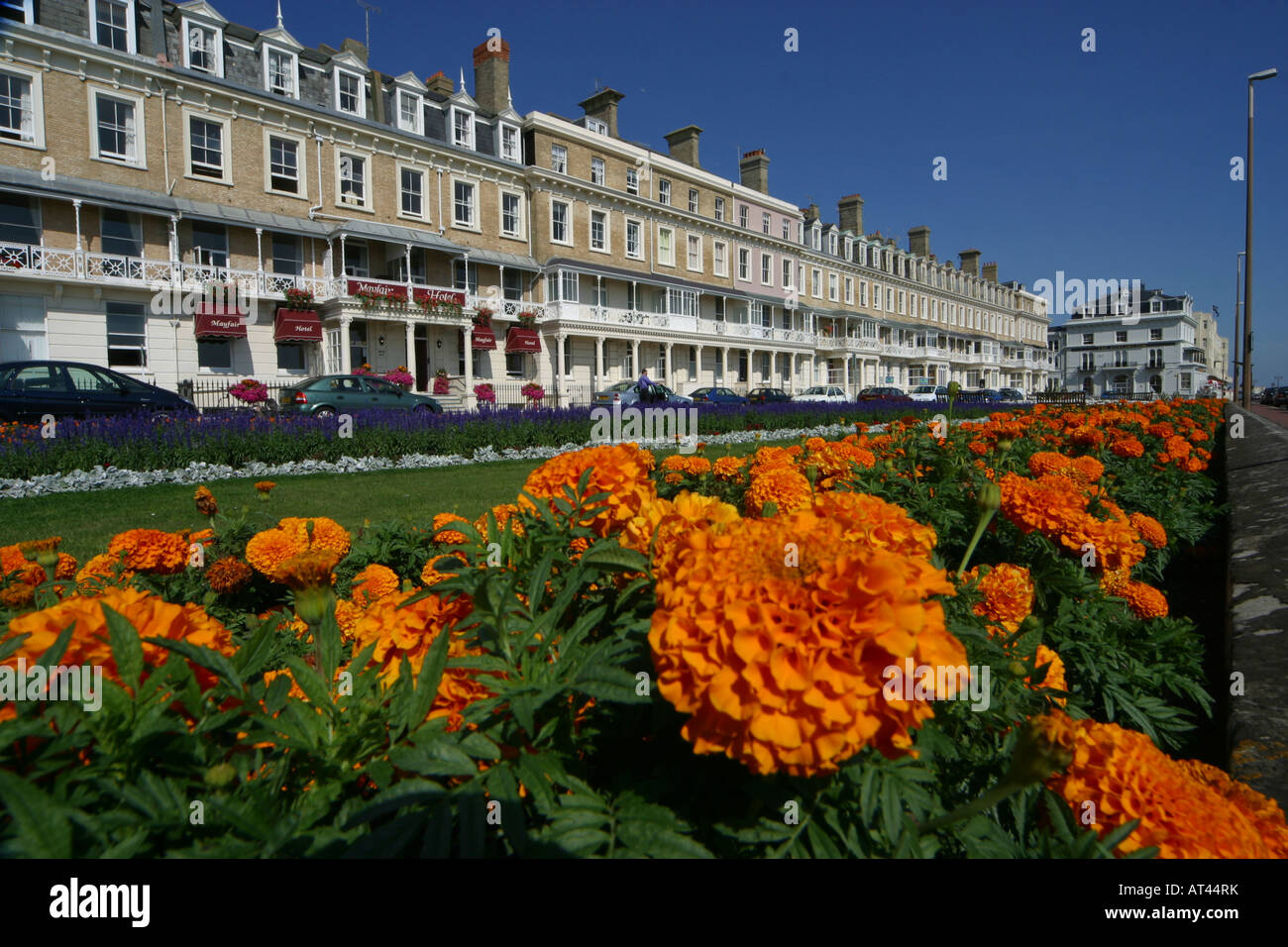 Avis de quelques fleurs près de l'esplanade et du bord de mer à Worthing Sussex Banque D'Images