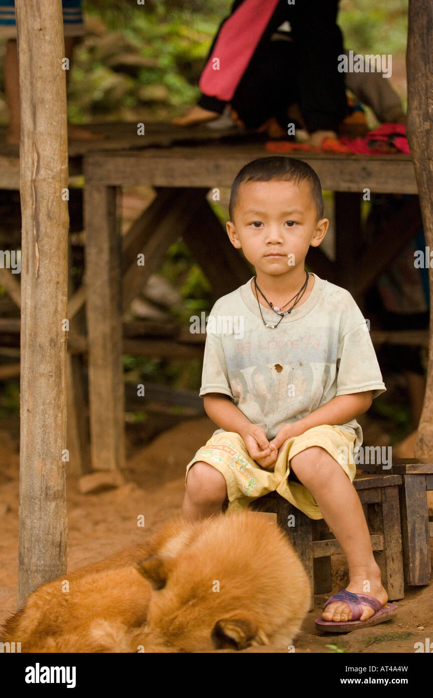 Chien hmong Banque de photographies et d’images à haute résolution Alamy