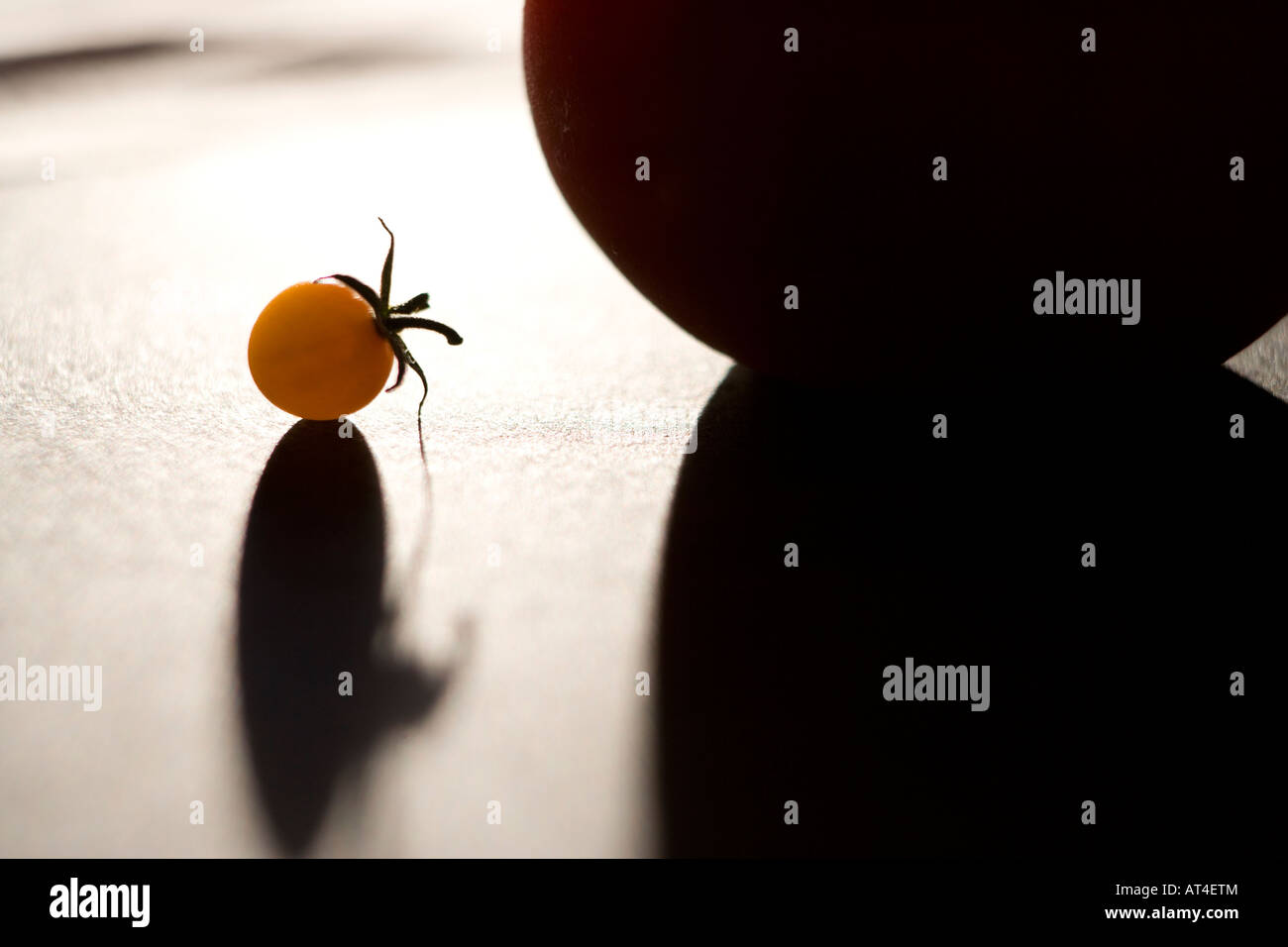 Grandes et petites tomates Maison avec belle ombre Banque D'Images