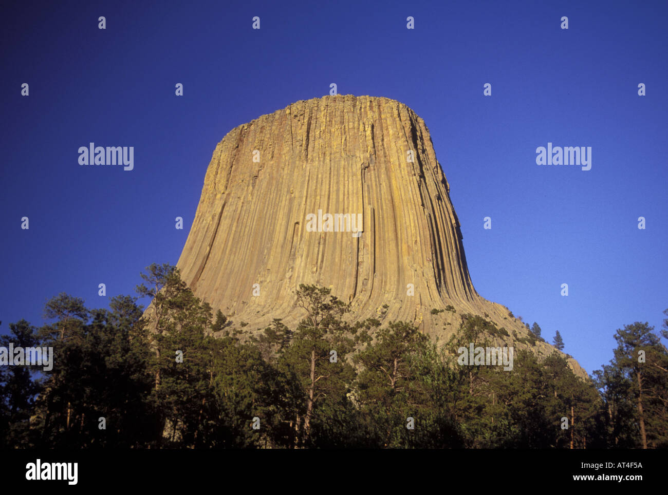 Devil s Tower dans le Wyoming Banque D'Images