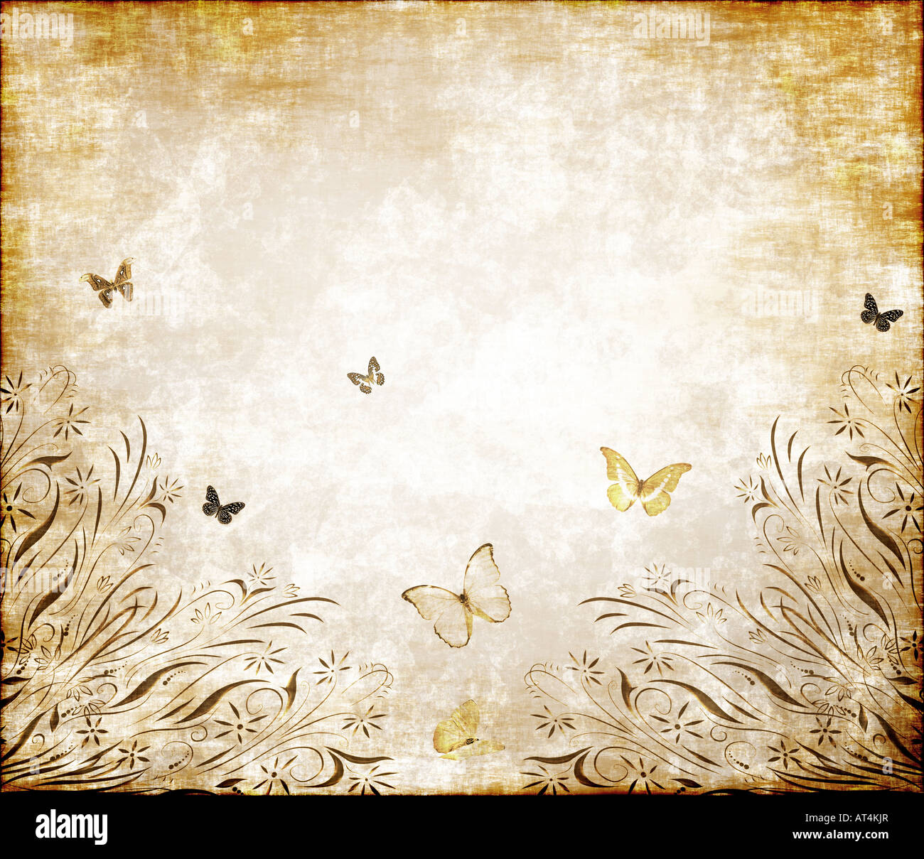 Belle illustration grunge floral avec papillons sur du vieux parchemin Banque D'Images