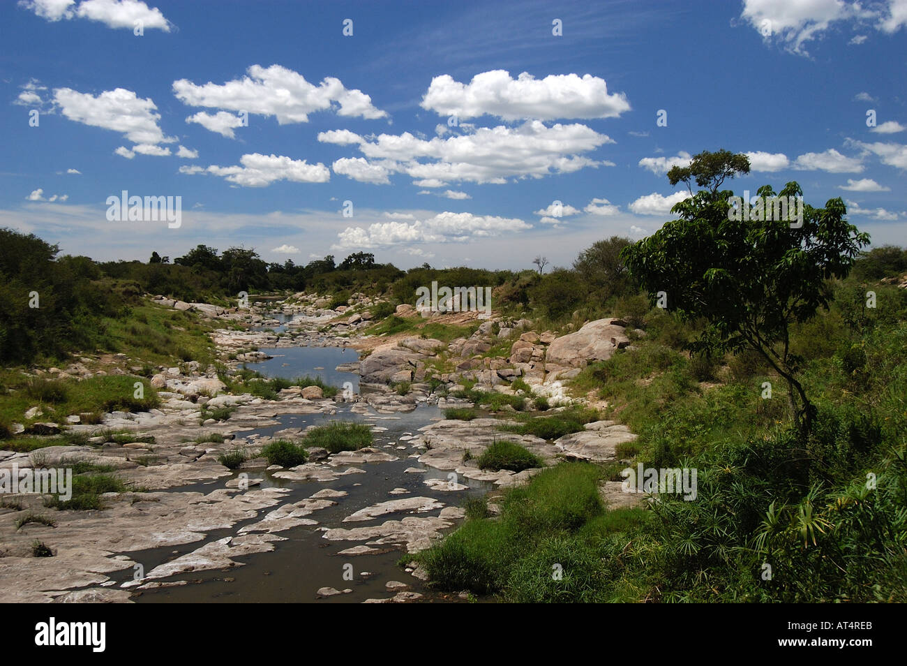 La rivière Talek Masaii Mara Kenya Banque D'Images