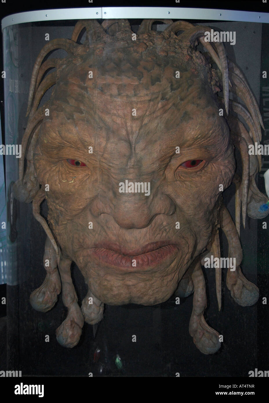 Face à l'arc à la Dr qui exposition à Lands End Cornwall Banque D'Images