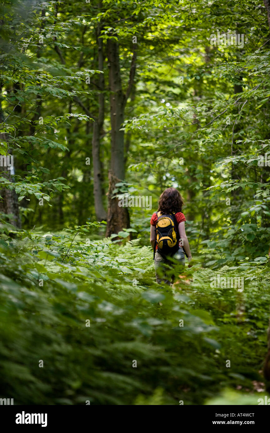 La randonnée sur la longue route de montagnes Vertes du Vermont. Eden, Vermont. Banque D'Images