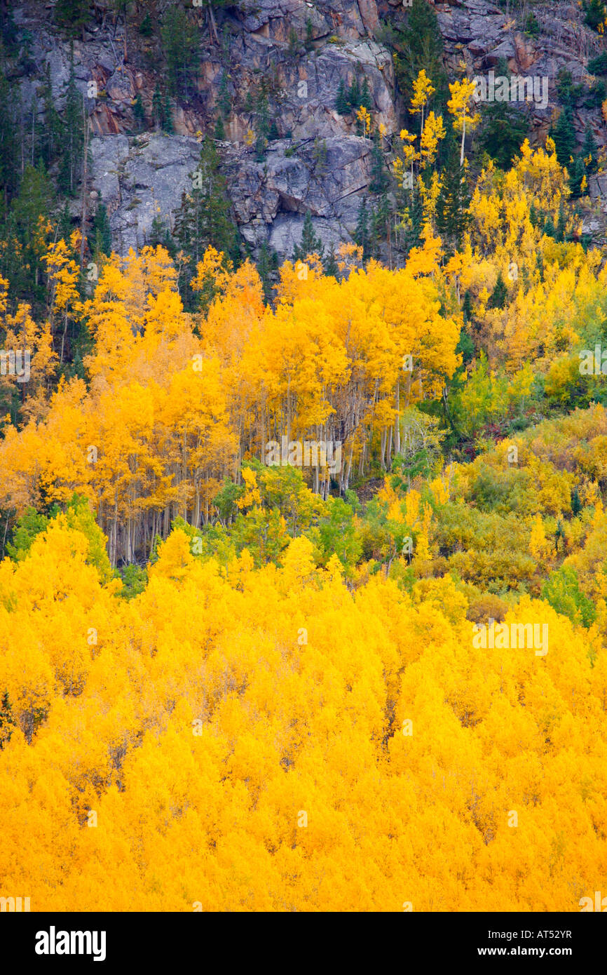 San Isabel National Forest, Colorado Banque D'Images