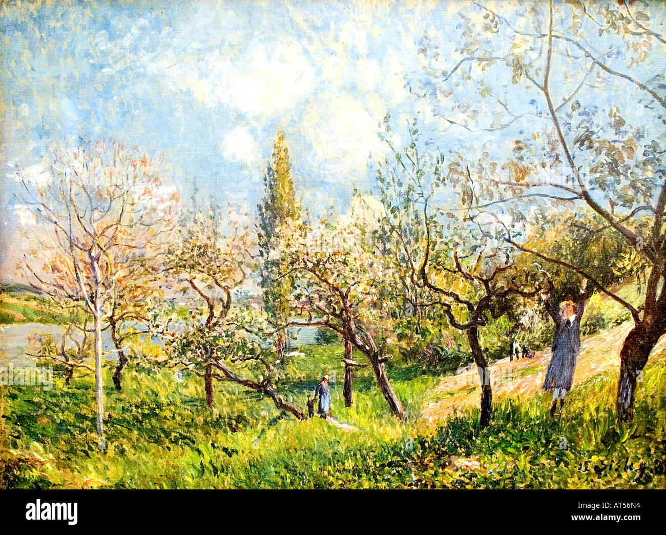 Alfred Sisley un verger au printemps près de 1881 Alfred Sisley Alfred Sisley 1839 - 1899 impressionnistes français / anglais Banque D'Images
