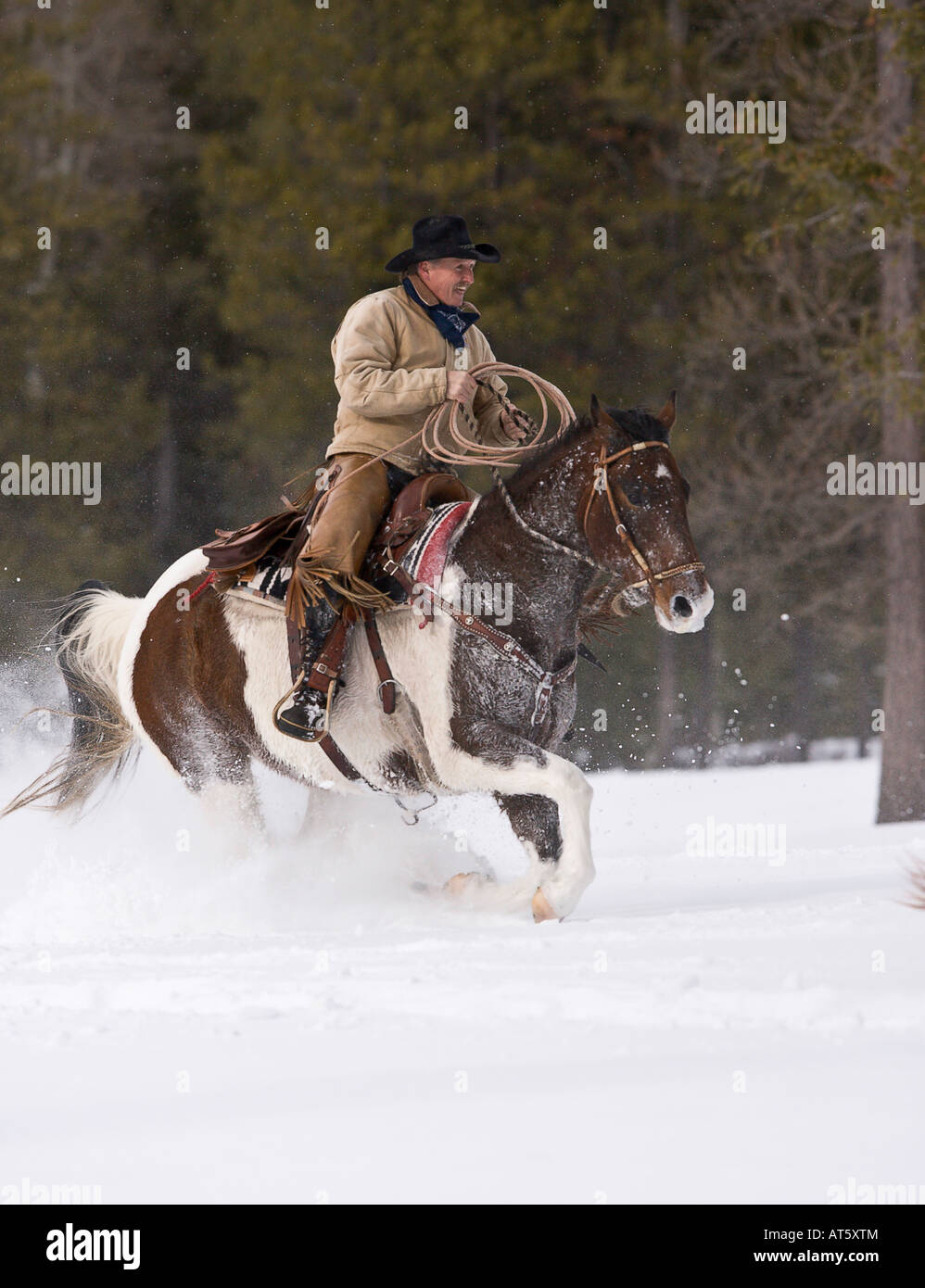 Le cow-boy à cheval à travers la neige du Montana. Banque D'Images