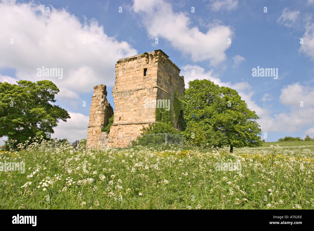 Ayton Château la ruine d'une tour fortifiée médiévale près de Scarborough North Yorkshire UK Banque D'Images