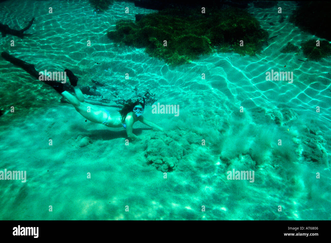 Snorkeler observant printemps eau douce Rio da Prata Bonito Brésil Banque D'Images