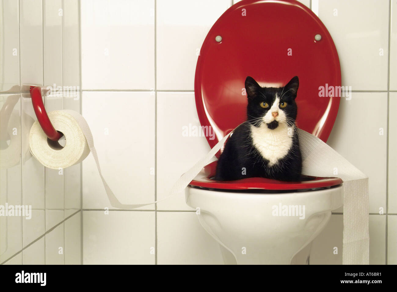 Mauvaise Toilette Banque du0027image et photos - Alamy