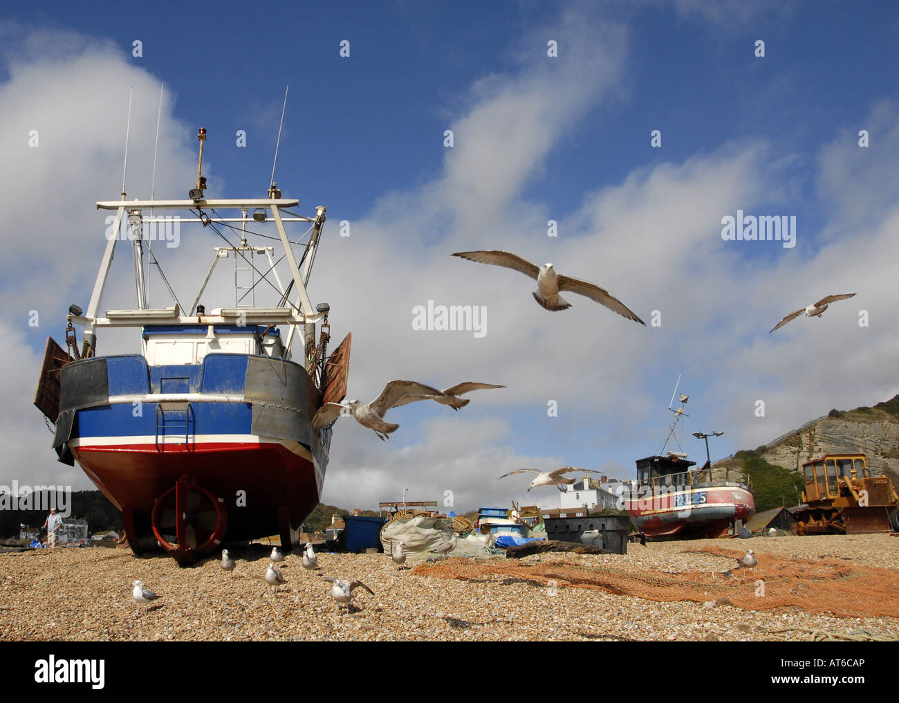 Les mouettes dans le Port Hastings, Sussex, UK Banque D'Images