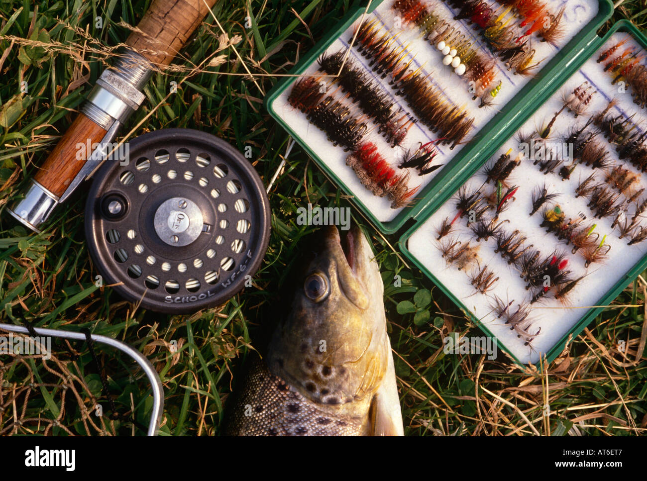 La pêche à la mouche sur la rivière " dans le Hampshire, Angleterre Banque D'Images