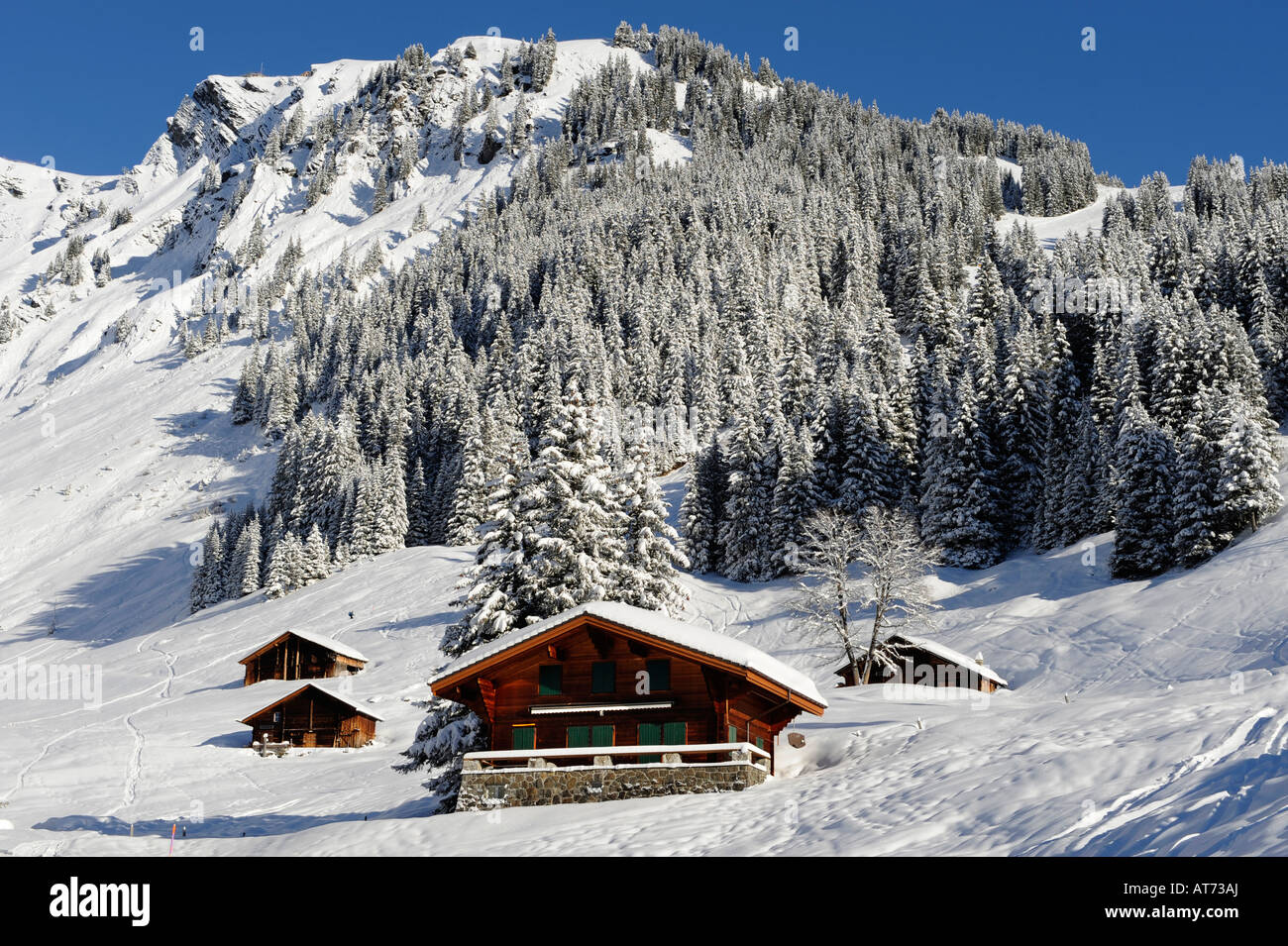 Chalet suisse de haute montagne en hiver avec le Wetterhorn au loin. Banque D'Images