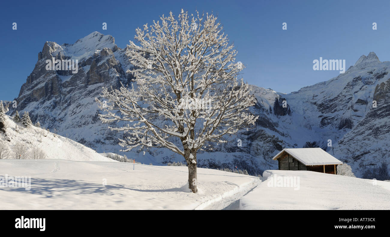 Alpes en hiver devant le Wetterhorn en hiver Grindelwald, Alpes Suisses. Banque D'Images