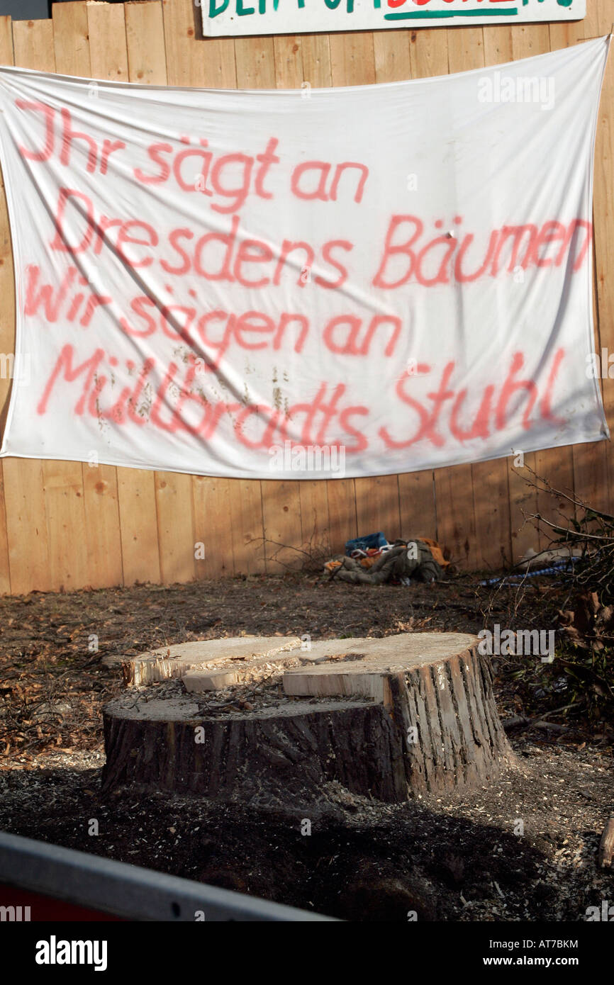 Robin Wood militants ont été libérés d'un vieil arbre sur le chantier d'un nouveau pont. L'arbre a été coupé. Banque D'Images