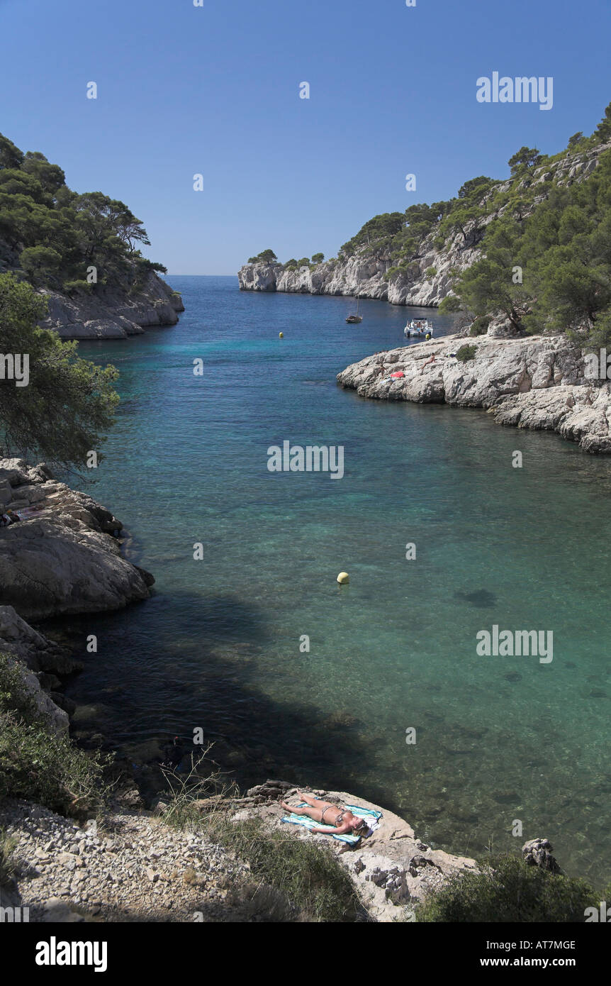 Photographie de stock Port Pin Calanque falaises calcaires entre Cassis et Marseille France Banque D'Images