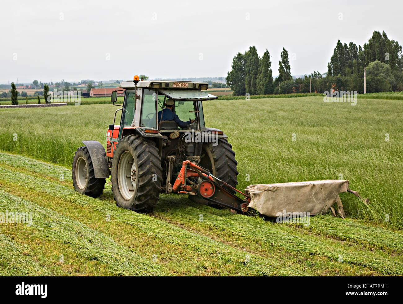 L'herbe de coupe du tracteur pour le foin en Belgique Banque D'Images