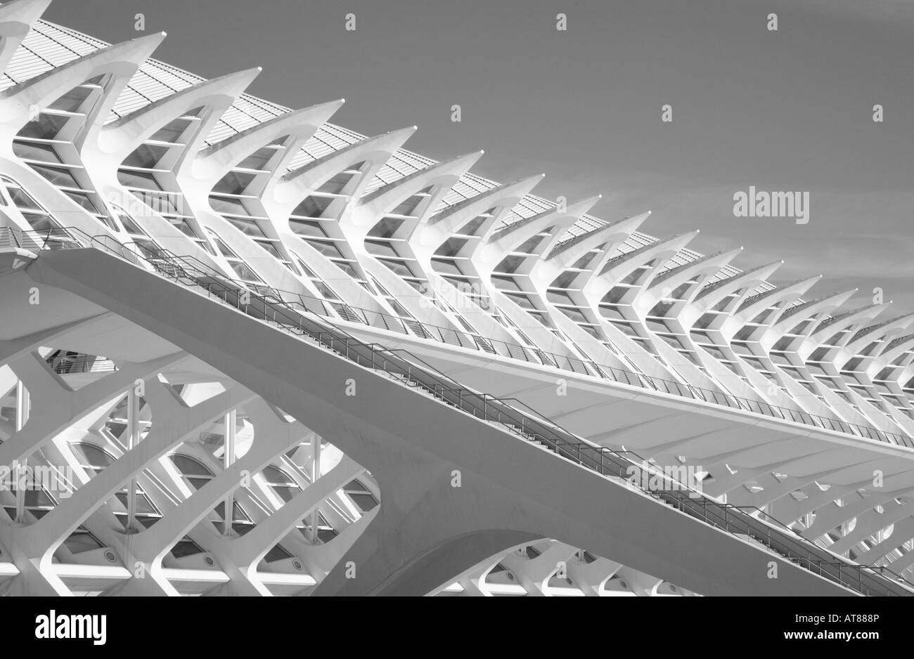 Musée des sciences Principe Felipe, les arts et Science City par Calatrava, Valencia, Espagne Banque D'Images